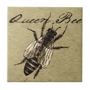 Queen Bee Wildlife Bug Insect Tegeltje