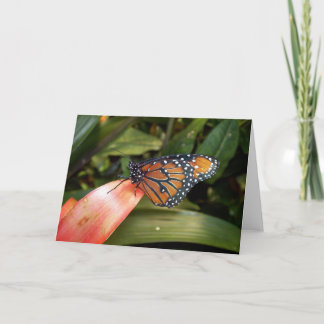 Queen Butterfly Kaart