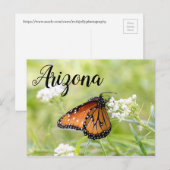 Queen Butterfly Sunning op Milkweed, Arizona Briefkaart (Voorkant / Achterkant)