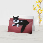 Queen Cat 2 Carte photo / frère chat dans le bain (Fleur jaune)