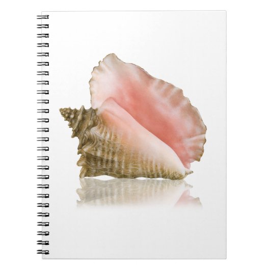 Queen Conch Notitieboek (Voorkant)