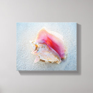 Queen Conch Shell op Bahamas Beach Canvas Afdruk