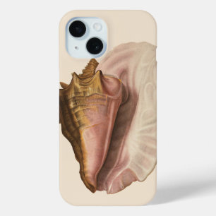 Queen Conch Shell Seashell,  zeeleven