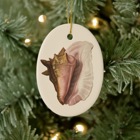Queen Conch Shell Seashell,  zeeleven Keramisch Ornament (Boom)