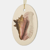 Queen Conch Shell Seashell,  zeeleven Keramisch Ornament (Links)