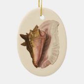 Queen Conch Shell Seashell,  zeeleven Keramisch Ornament (Achterkant)