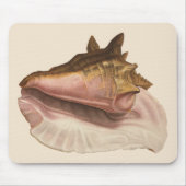 Queen Conch Shell Seashell, zeeleven Muismat (Voorkant)