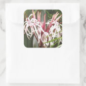 Queen Emma Crinum Lilies Sticker (Tas)