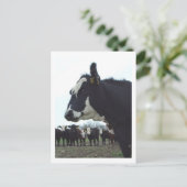 Queen Koe Briefkaart (Staand voorkant)