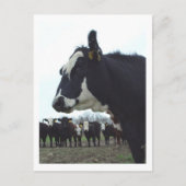 Queen Koe Briefkaart (Voorkant)