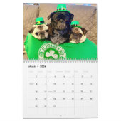 Queen Lulu le calendrier Carlin 2022 (Mar 2026)