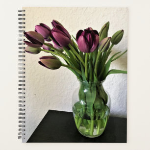 Queen of Night Tulips