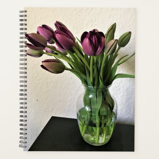 Queen of Night Tulips (Devant)