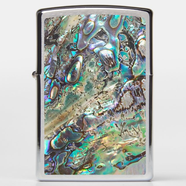 Queen paua shell (Voorkant)