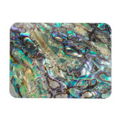 Queen paua shell magneet (Horizontaal)