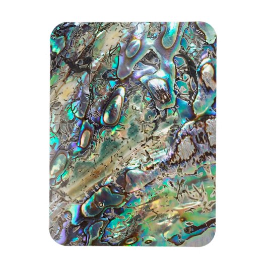 Queen paua shell magneet (Verticaal)
