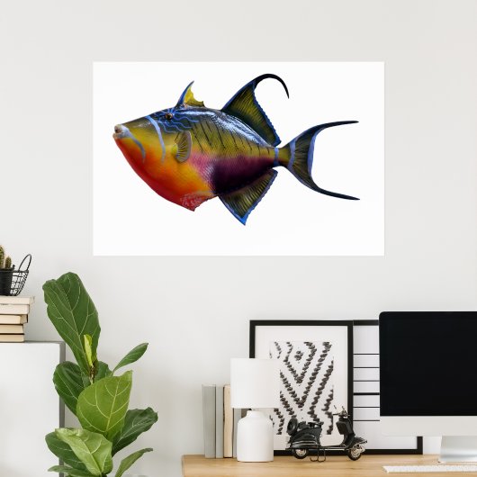 Queen Trigger Fish Poster (Thuiskantoor)
