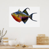 Queen Trigger Fish Poster (Keuken)