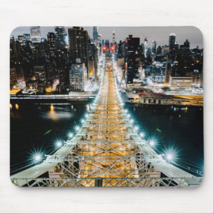 Queensboro Bridge Muismat