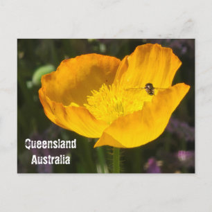 Queensland Australië - Bloem & Bij Ansichtkaart Briefkaart