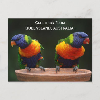 Queensland Rainbow Lorikees Australie Carte postal