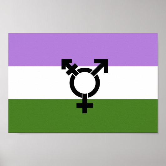Queer - Gender Queer Pride Poster (Voorkant)