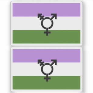 Queer - Gender Queer Pride Sticker