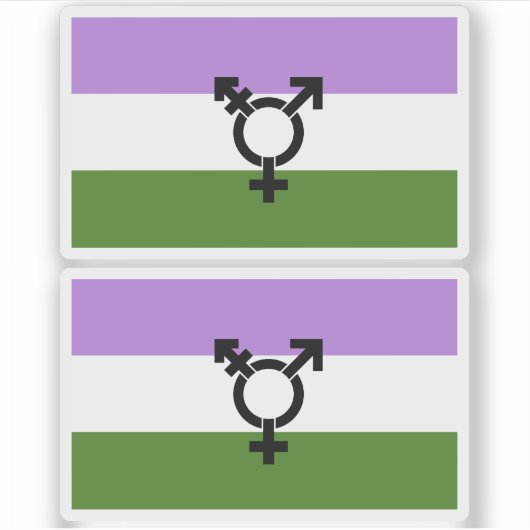 Queer - Gender Queer Pride Sticker (Voorkant)