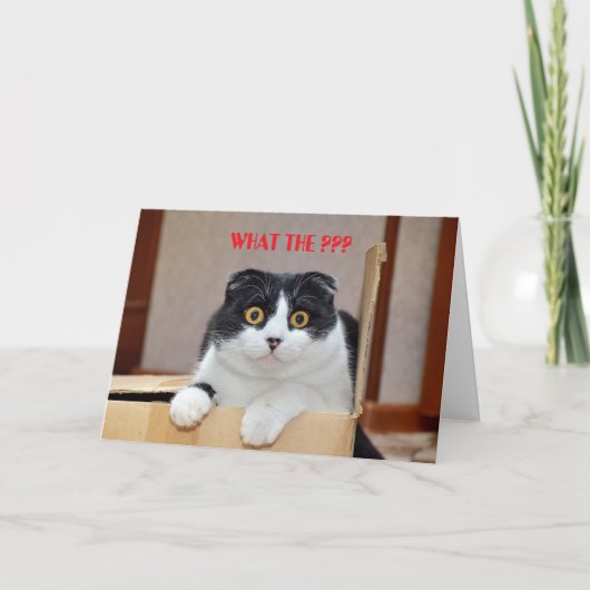 QUEL ? ? ? ? CARTE D'ANNIVERSAIRE BATTUE (Devant)