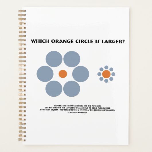Quel Cercle Orange Est Le Plus Grand ? Illusion d' (Devant)