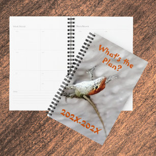 Quel est le plan Redhead Anole Lizard Fun