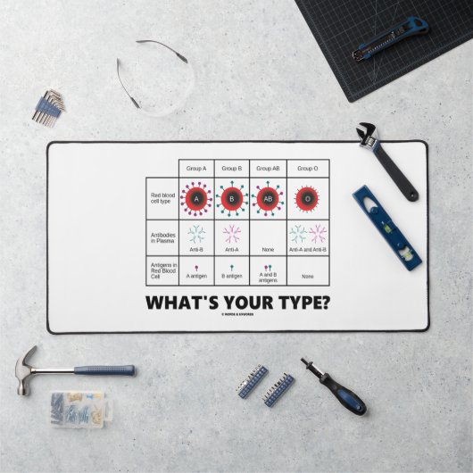 Quel est ton type ? Groupes de cellules sanguines (Poste de travail)