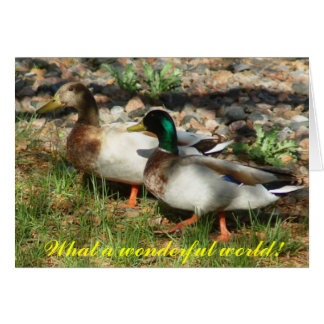 Quel monde merveilleux !