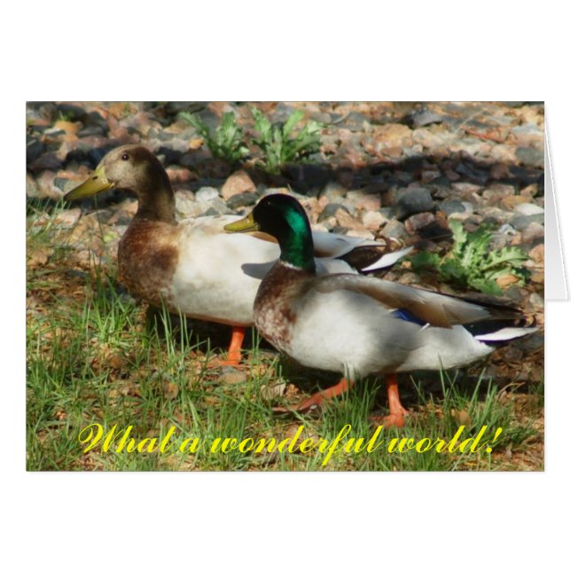 Quel monde merveilleux ! (Devant horizontal)