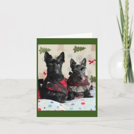 Quel renne ? Carte (Devant)