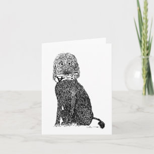 Quelle Chaussure ? Carte