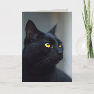 quelle était votre carte de voeux pour chat
