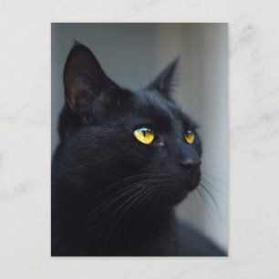 quelle était votre carte postale