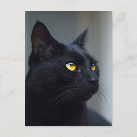 quelle était votre carte postale (Devant)