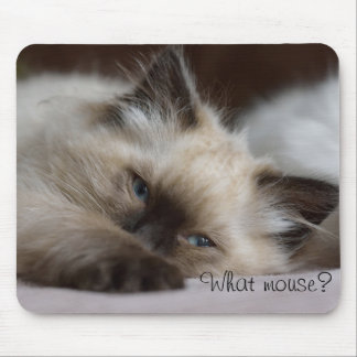 Quelle souris, tapis de souris