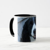 Quelle tasse de visage (Devant gauche)