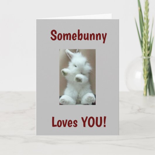 QUELQU'UN VOUS AIME....****MOI**** CARTE DE PÂQUES (Devant)