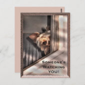 Quelqu'un vous regarde Carte postale (Devant / Derrière)