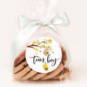 Quels seront les stickers garçon de l'équipe bébé 