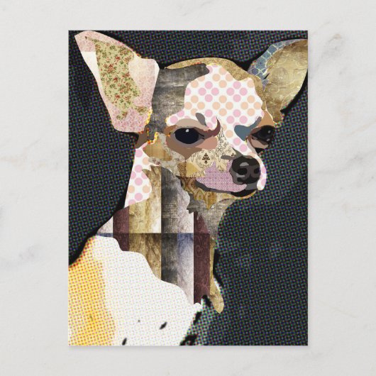 Quem não ama Chiuaua? Briefkaart (Voorkant)