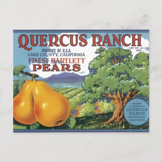 Quercus Ranch Bartlett Pears Briefkaart (Voorkant)