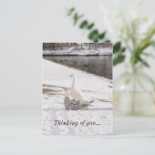 Qu'est-ce que Goose penser de vous carte postale (Debout devant)