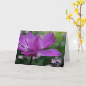 Qu'est-ce que tu caches ? Carte photo Anemone Flor (Fleur jaune)