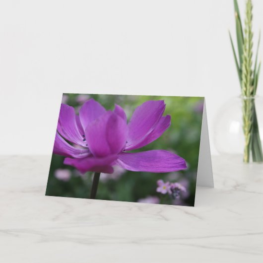 Qu'est-ce que tu caches ? Carte photo Anemone Flor (Devant)