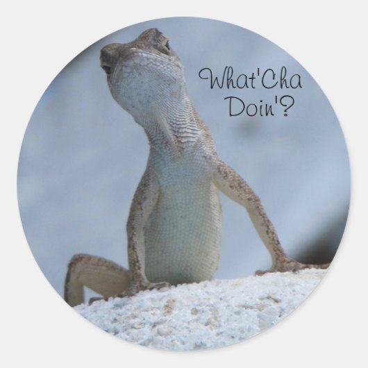 Qu'est-ce que tu fais ? Autocollant de lézard anol (Devant)